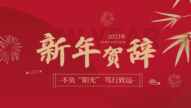 2023 不负“阳光” 笃行致远丨院党支部书记、董事长、院长林兵新年贺辞